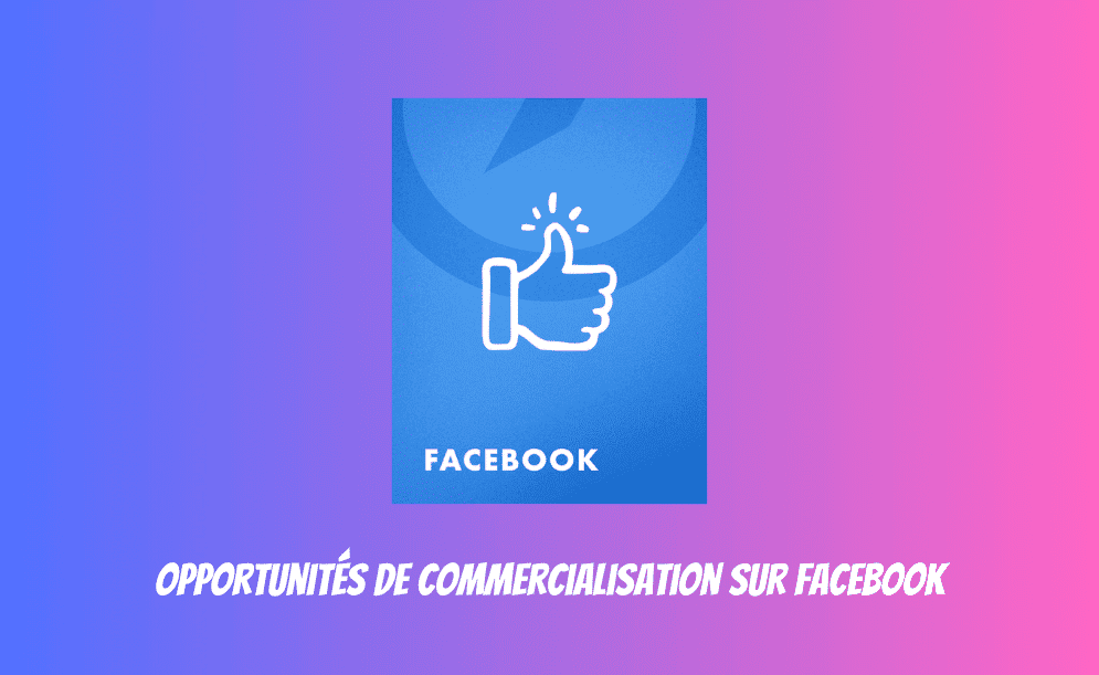Facebook Opportunités Commercialisation